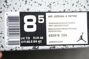 Air Jordan 4 Raptors